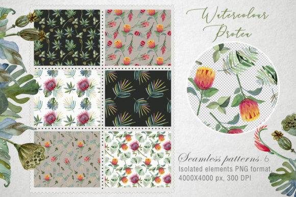 Seamless Pattern Watercolor Protea: A Designer’s Real-World Review