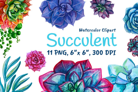 Succulents Watercolor Rose Pink Plants & Decorative Elements